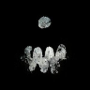 Meet your Posher, Stevey